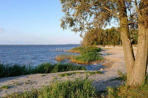 Villa Huus Am Darss Fuhlendorf  Esterno foto